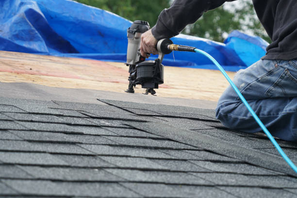 Best Roof Gutter Cleaning  in Tifton, GA